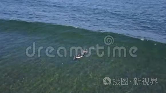 从海面上的冲浪者的视野