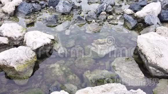 海岸上的岩石和水坑视频