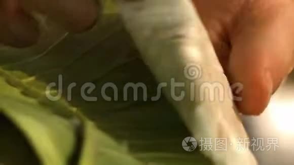 绿叶中的豆腐视频