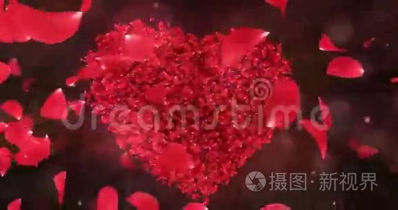 4k背景视频素材-4k背景实拍视频下载-第1页-摄图新视界视频库