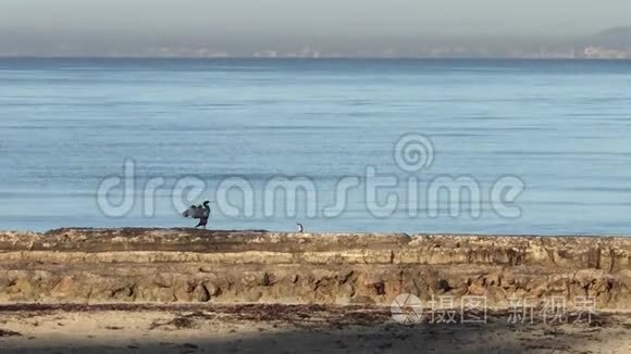 这是阿雷纳海滩视频