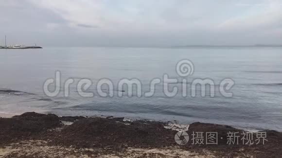 这是阿雷纳海滩视频