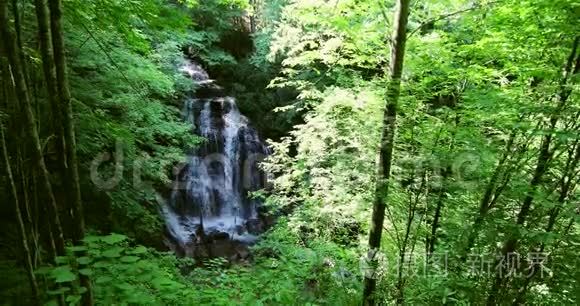 大烟山国家公园美丽的瀑布视频