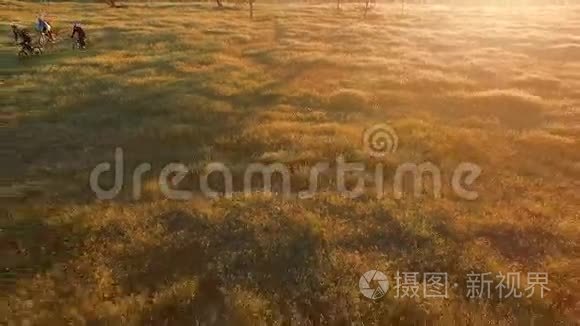 年轻人骑自行车穿过绿色和黄色的夏日草地