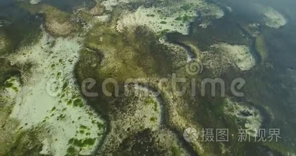 海藻的空中景观视频