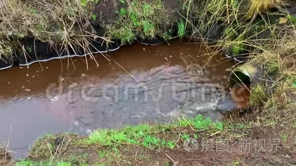 水在田之间的沟渠中流动