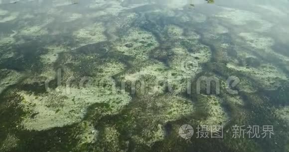 海藻的空中景观视频