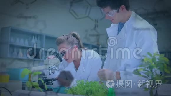 实验室里的植物学家视频