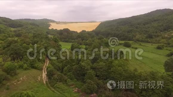 在夏日的沙滩上飞过远方的风景