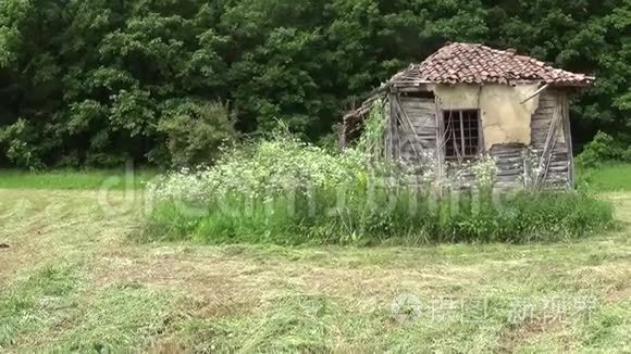 草地上废弃的旧木屋视频