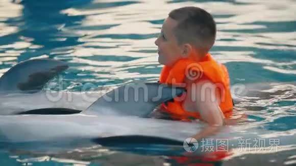 男孩和海豚一起游泳