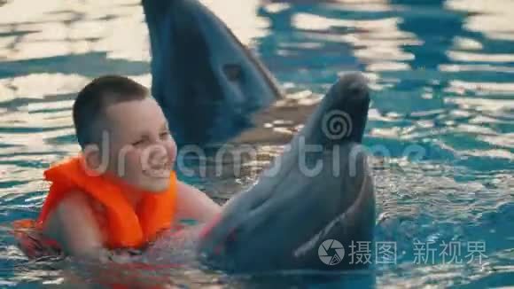 男孩和海豚一起游泳