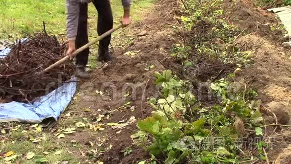 一个男农正在土地上劳作视频