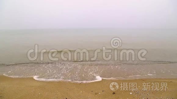 多雾的海滩视频