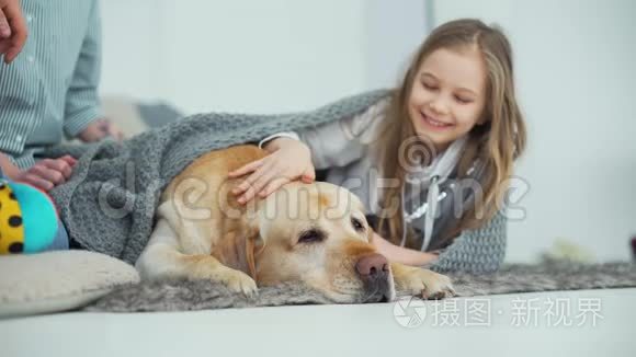 女孩在家里躺在地毯上抚摸狗视频