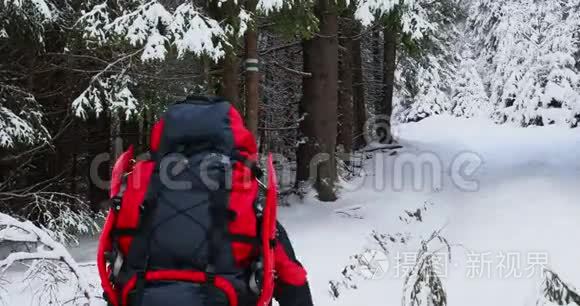 这位游客在森林里的一条雪道上行走