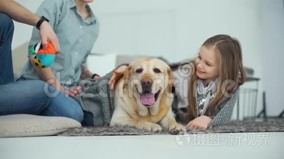 少女在地毯上爱抚自己的狗视频