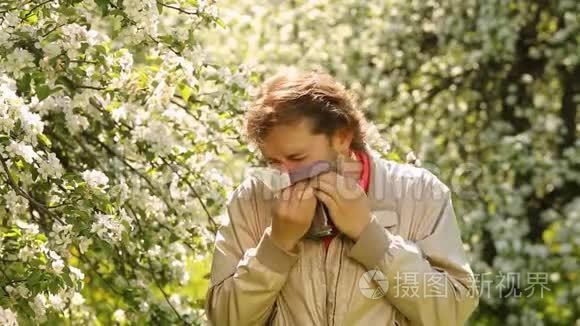 年轻人从苹果花打喷嚏年轻人从花打喷嚏