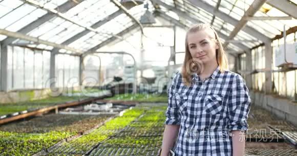 年轻女性植物学家检查盆栽植物视频