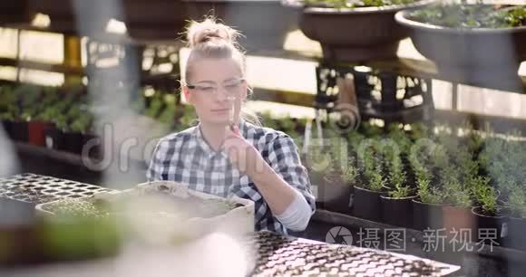 植物学家在温室检查植物视频