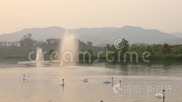 天鹅湖