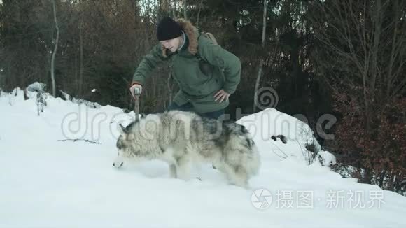 那家伙和他的狗在森林里散步视频