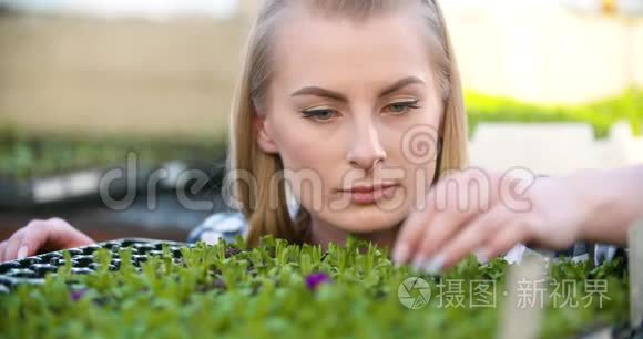 农业农民研究温室的花卉苗木视频