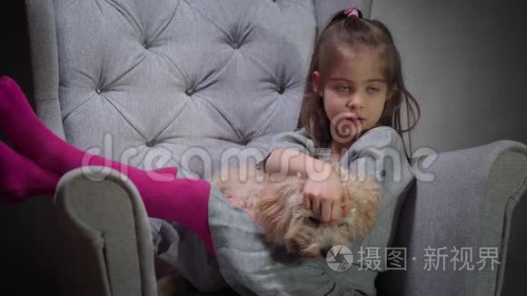 可爱的女孩正在椅子上和一只小狗玩耍