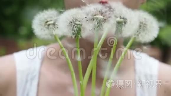 草地背景上的蒲公英视频