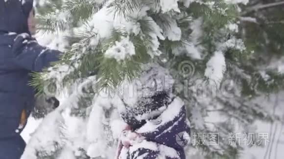 这个男孩会在小妹妹身上的圣诞树上唱很多雪