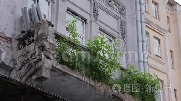 草从建筑物中生长视频