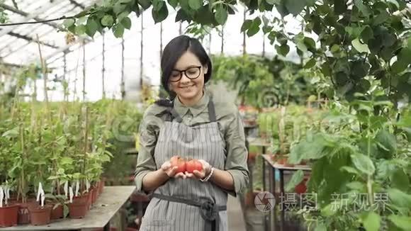 一位年轻的园丁女人在温室里手里拿着西红柿的肖像