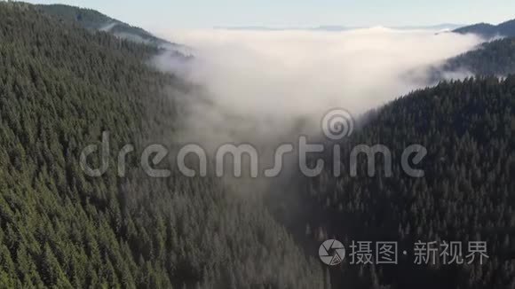 从空中俯瞰雾气视频