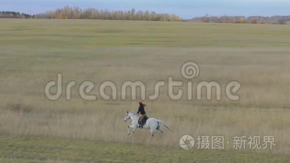 一个年轻的红发女人骑着一匹白马。 驰过田野..