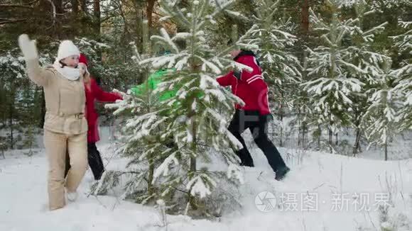 冬林杉树上欢乐的家庭舞蹈视频