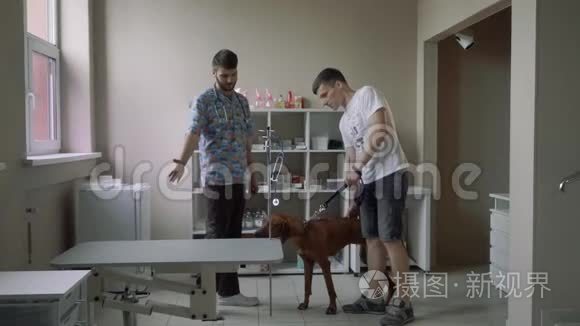 一个在一个兽医那里养狗的人视频