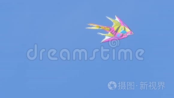 粉色卡通鱼的风筝视频