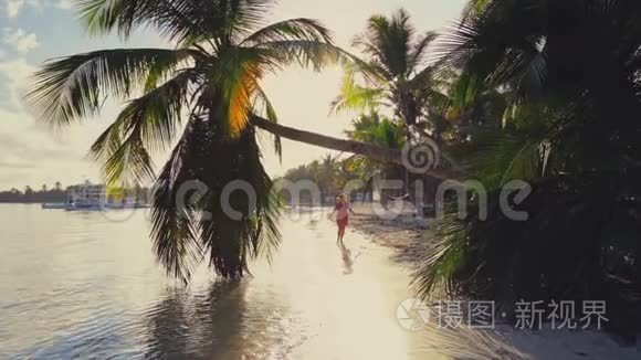 日出覆盖热带岛屿海滩和棕榈树。 多米尼加蓬塔卡纳