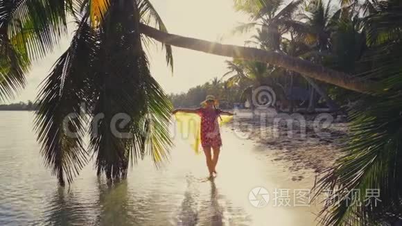 日出覆盖热带岛屿海滩和棕榈树。 多米尼加共和国蓬塔·卡纳