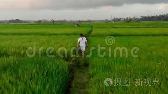 在印尼巴厘岛，盖伊穿过水稻梯田