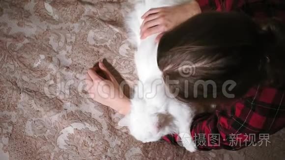 小女孩躺在床上，抚摸着一只白猫。 真实的视频，爱宠物