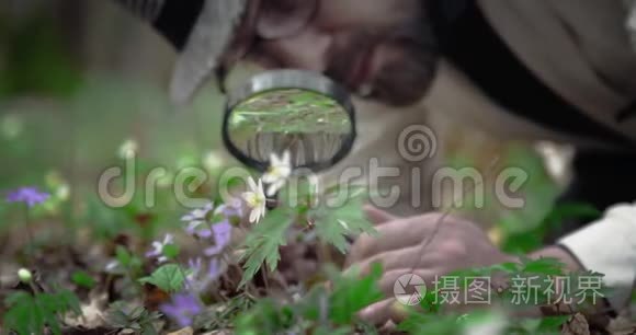 植物学家在小花上看放大镜视频