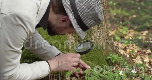 优秀的植物学家通过百叶窗检查花朵