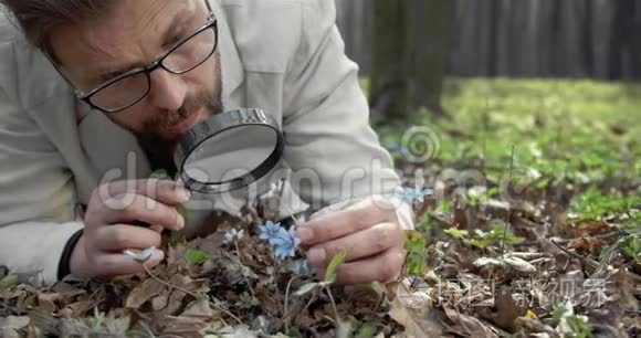 植物学家用百叶窗检查森林环境