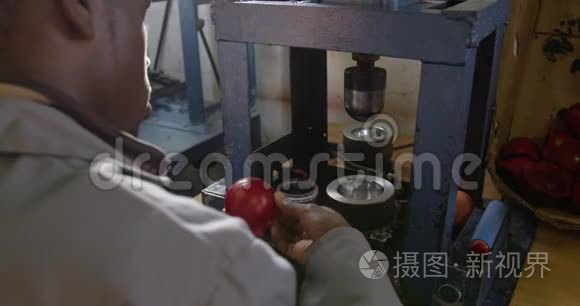 混合种族男子在工厂工作视频