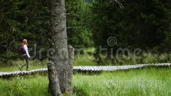 女孩徒步旅行者走在木木小径旁视频