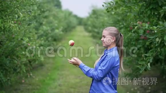 一个穿蓝色衬衫的女孩在苹果园里摆弄苹果