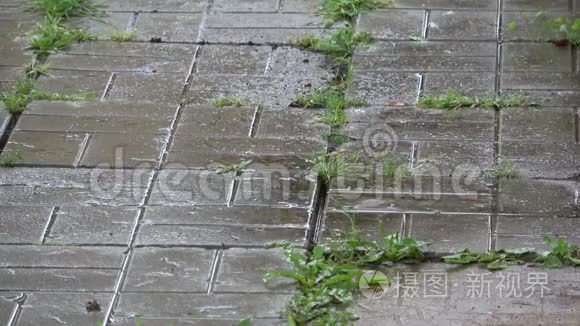 在马祖里诺公园淋雨短视频