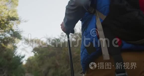 在森林里积极的高级徒步旅行视频