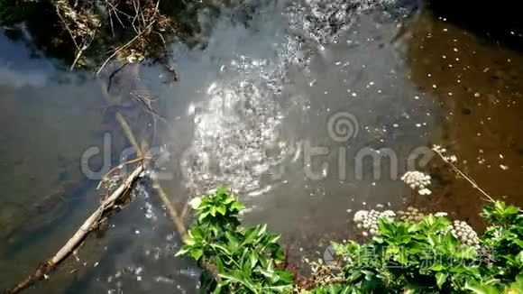 小溪流变得更大视频